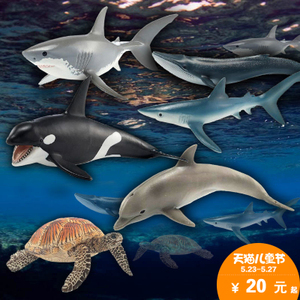 蓝鲸泵业 从精密制造到蓝鲸市集的双轮驱动之路