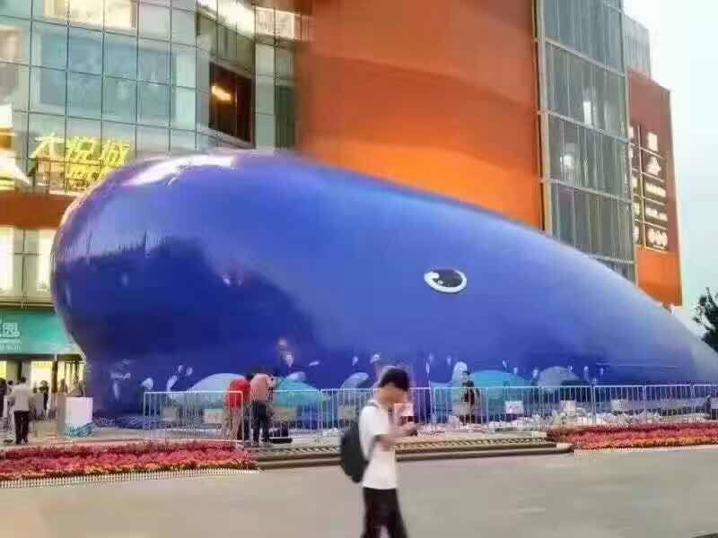 南京大蓝鲸 百万海洋球与充气城堡，打造蓝鲸市集童话盛宴